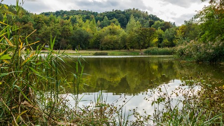 Amazing colorful landscape with lake and park, early fall, Lviv, Ukraineの写真素材
