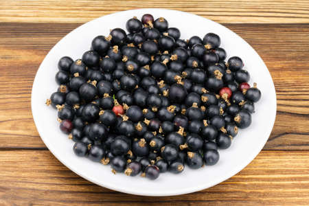 Black ripe currant in white plate on wooden background