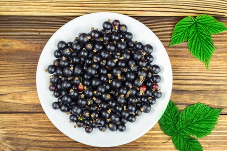 Black ripe currant in white plate on wooden background, top view, flate imageの写真素材