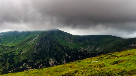 Picturesque Carpathian mountains, nature landscape in summer, Ukraine