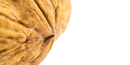 Single walnut isolated on white background, macro image with space for text