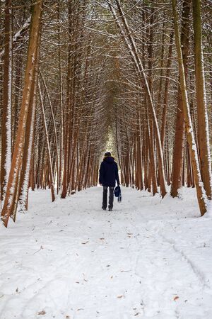 Man walking in winter forest covered by snow