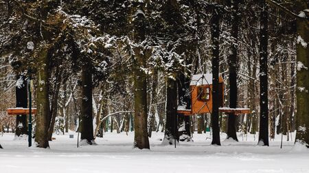 Small treehouse in winter park covered snowの写真素材