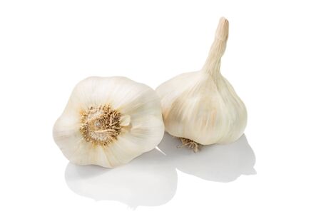 Two garlic heads isolated on white background.の写真素材