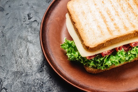 Sandwich on a plate, grilled toast, salami sausage, salad lettuce and cheese on a dark background.の写真素材