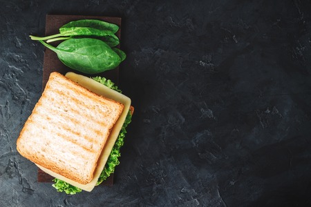 Sandwich with grilled toast, salami sausage, salad lettuce, spinach leaves and cheese on a dark background, top view.の写真素材