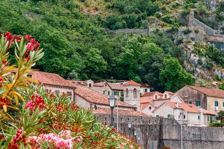 Old stone houses in the town Kotor surrounded by high mountains, Montenegro.の写真素材