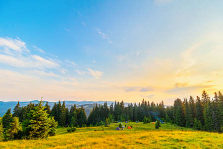 Colorful landscape at sunset in the mountain meadow, scenic wild nature, Carpathians.の写真素材