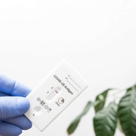Hand in a medical glove holds rapid antigen test kit for viral disease COVID-19 with negative result, white background with green leaves.の写真素材