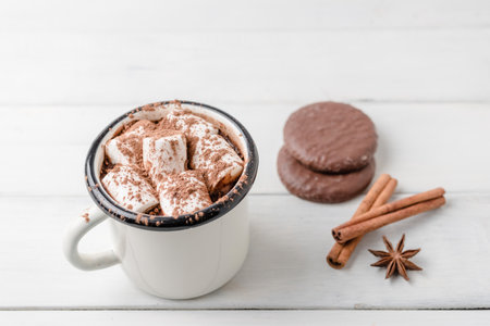 Homemade spicy hot chocolate drink with marshmallows in enamel cup on white wooden table with cinnamon stick, cookies and star anise.の写真素材