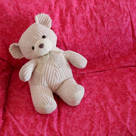 Cute teddy bear on pink sofa