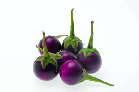 aubergine violet  on a white background.の写真素材