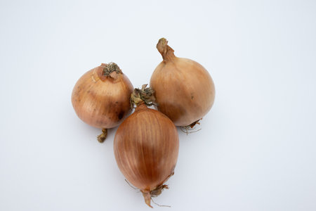Onion on a white background. Onions on a white background.の写真素材