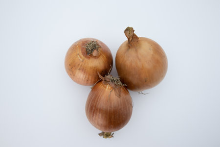 Three onions on a white background, top view, close-upの写真素材