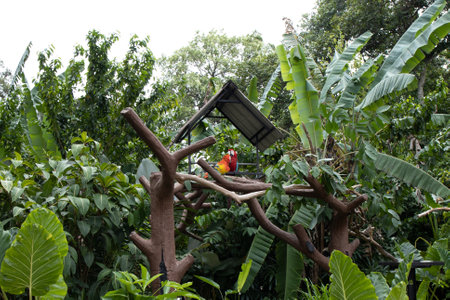 Parrot on the tree in the zoo