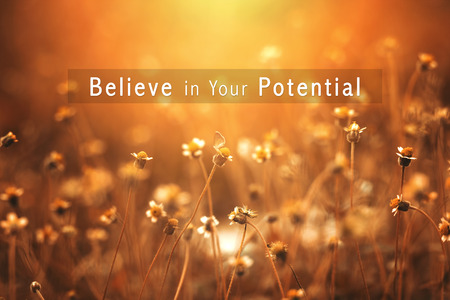 Inspirational Typographic Quote with nature background - Believe in Your Potentialの写真素材