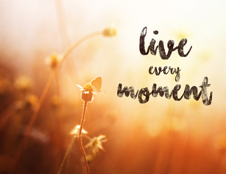Inspirational Typographic Quote with nature background - Live every momentの写真素材