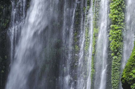 Close shot of a waterfall. Tiu Kelep waterfall near Rinjani, Senaru, Lombok, Indonesia, Southeast...
