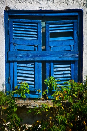 Achient blue window in a white house with roses in Sarti, Greeceの写真素材