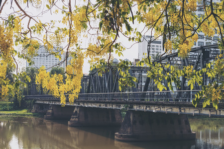 Iron bridge , river and tree with yellow flowers in Chaing mai Thailandの写真素材