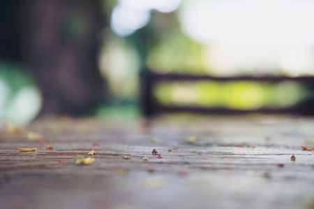 Blur and bokeh image of scrap leaves and flowers on wooden table with green nature background
