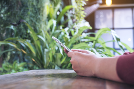 Closeup image of a woman's hands holding and using smart phone in modern cafe with green nature backgroundの写真素材