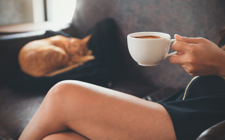 Closeup image of a woman sitting on sofa while a little brown cat is sleeping on a black pillowの写真素材