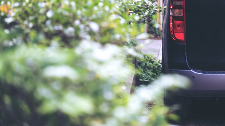 Closeup image of a black car with red tail light parking on the street nearby a bush with blur green nature backgroundの写真素材