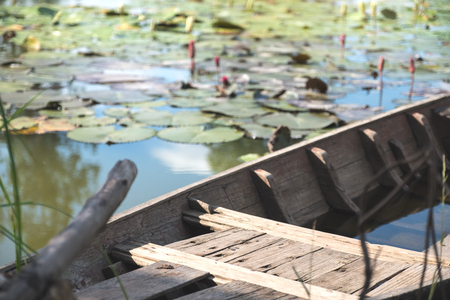 An old wooden boat in a lotus flowers swampの写真素材