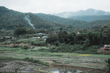 Landscape image of the rural village and rice field in greenery rainforest and hills background on foggy dayの写真素材