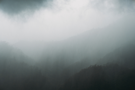 Landscape image of greenery rainforest hills in foggy dayの写真素材