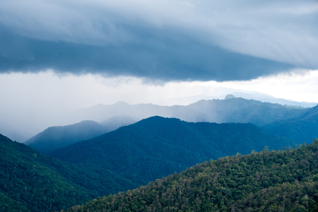 Landscape image of greenery rainforest hills in foggy day with cloudy sky backgroundの写真素材