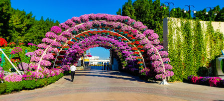 beautiful floral park entranceの写真素材