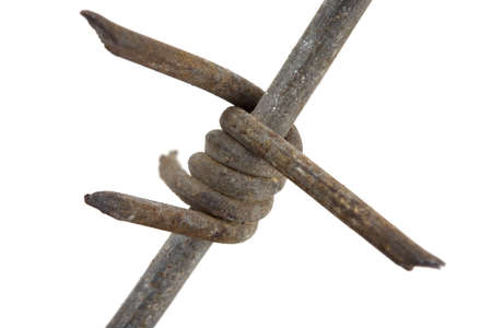 barbed wire macro isolated oh whiteの写真素材