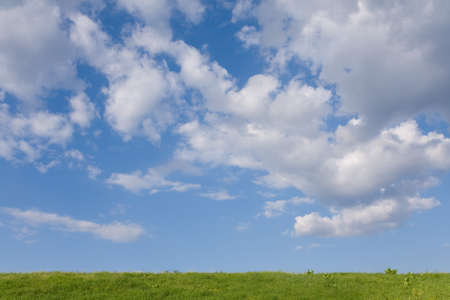 green grass and blue sky - backgroundの写真素材