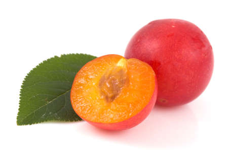 Red plums isolated on a white backgrounの写真素材