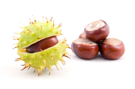 Chestnuts isolated on a whiteの写真素材