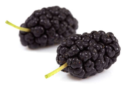 mulberry isolated on a white の写真素材