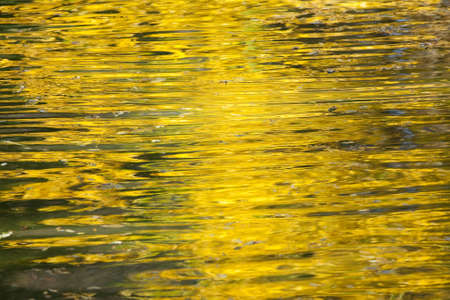 Autumn reflexion oin waterの写真素材