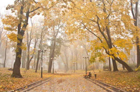 Mariinsky foggy park in Kiev, Ukraine の写真素材