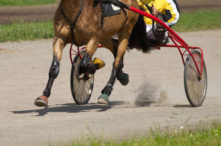 Equestrians running horse on hippodrome