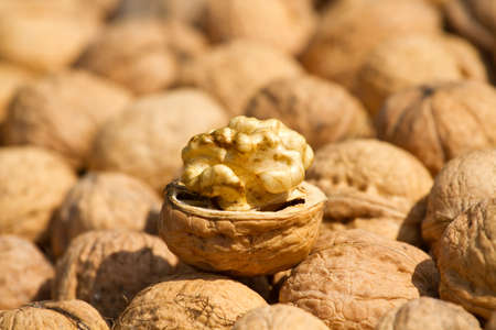 Walnut pile on background texture