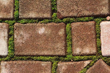 Cobblestone pavement with moss growing between stonesの写真素材