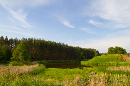 Landscape with forest and riverの写真素材
