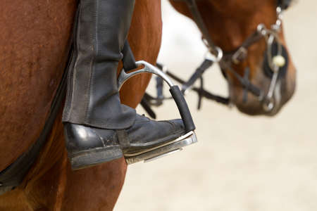 Dressage horse and a riderの写真素材