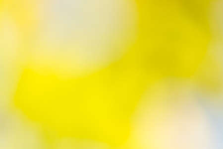 Autumnal natural background with bokehの写真素材