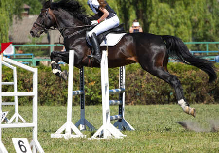 Horse jump a hurdle in competitionの写真素材