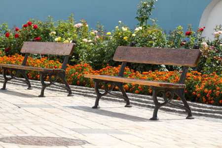 Stylish empty bench in the city parkの写真素材