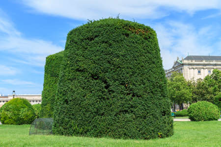 Vienna, Austria - July 23, 2017: Decorative green bushes in Maria Theresien Platz Park in Vienna,...