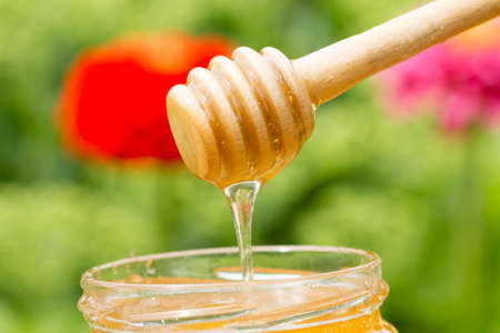 Honey flows in a glass jar on a stickの写真素材